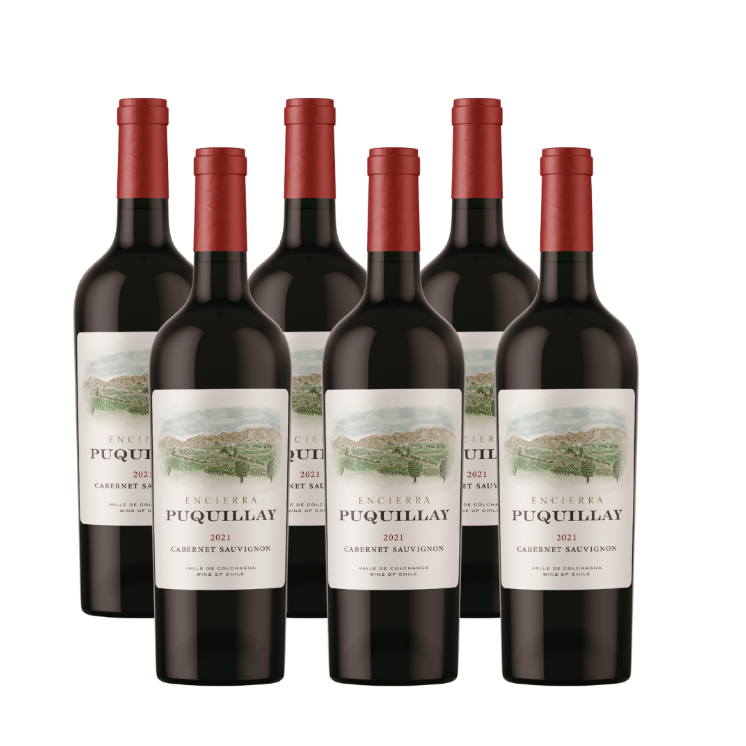 6 BOTELLAS VINO TINTO ENCIERRA PUQUILLAY CABERNET SAUVIGNON 2021, 100% CABERNET SAUVIGNON - 1