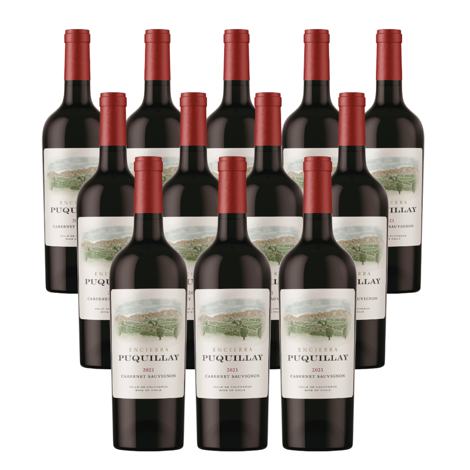 12 BOTELLAS VINO TINTO ENCIEERRA PUQUILLAY CABERNET SAUVIGNON 2021 - 1