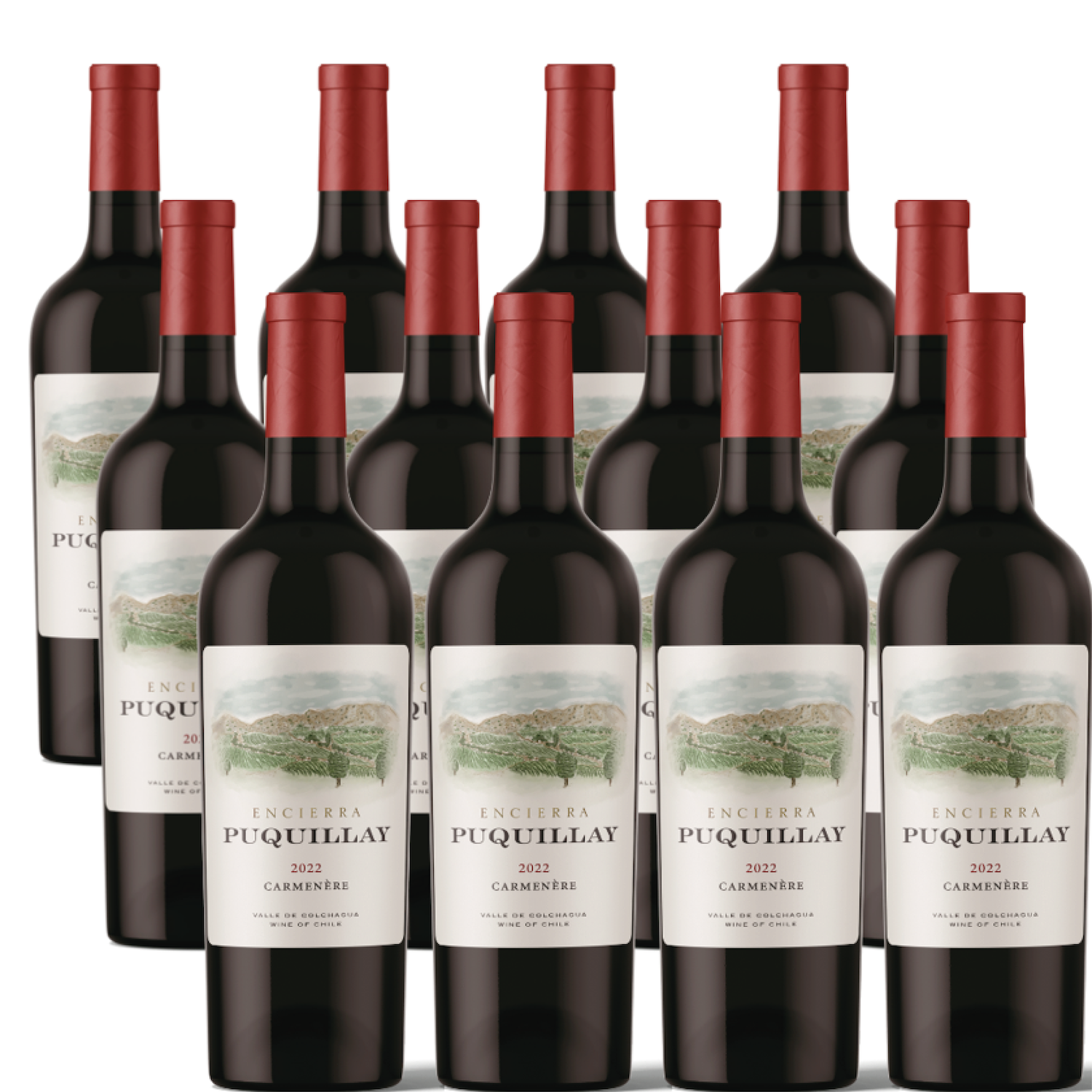 12 BOTELLAS VINO TINTO ENCIERRA PUQUILLAY CARMENERE 2022, 100% CARMENERE - 1