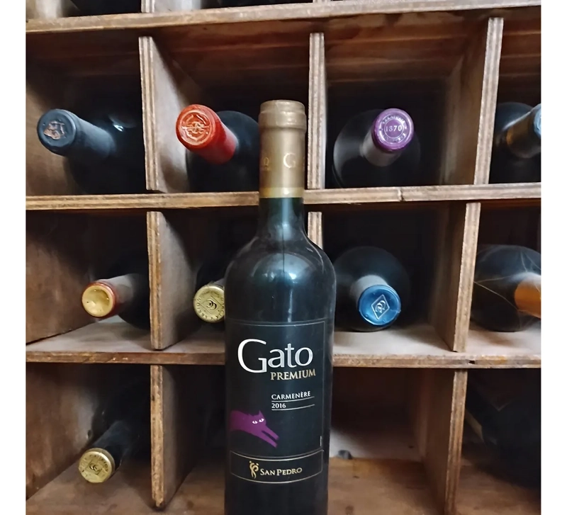 AÑO 2016 VINO VIÑA SAN PEDRO. GATO PREMIUM CARMENERE - 2
