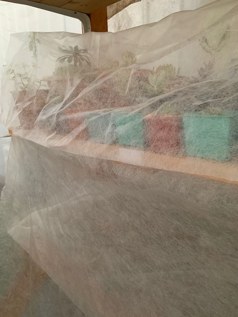 MANTA ANTIHELADAS PARA PLANTAS 5MTS X 1,40CM - 2