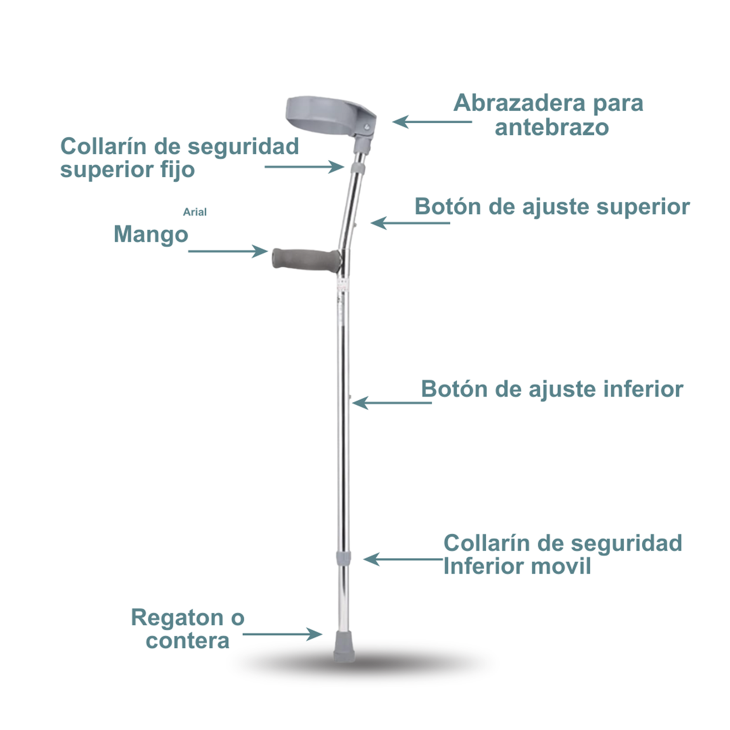 BASTON CANADIENSE AJUSTABLE CON CODERA MOVIL - 2