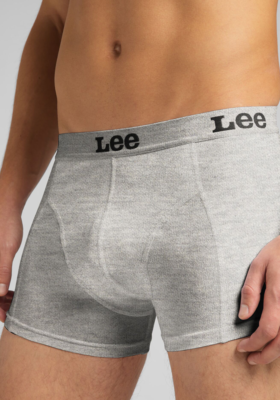 PACK 2 BOXER LEE GRIS - 4