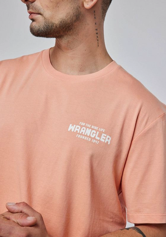 POLERA HOMBRE GRAPHIC TEE BRANDED MELON - 1