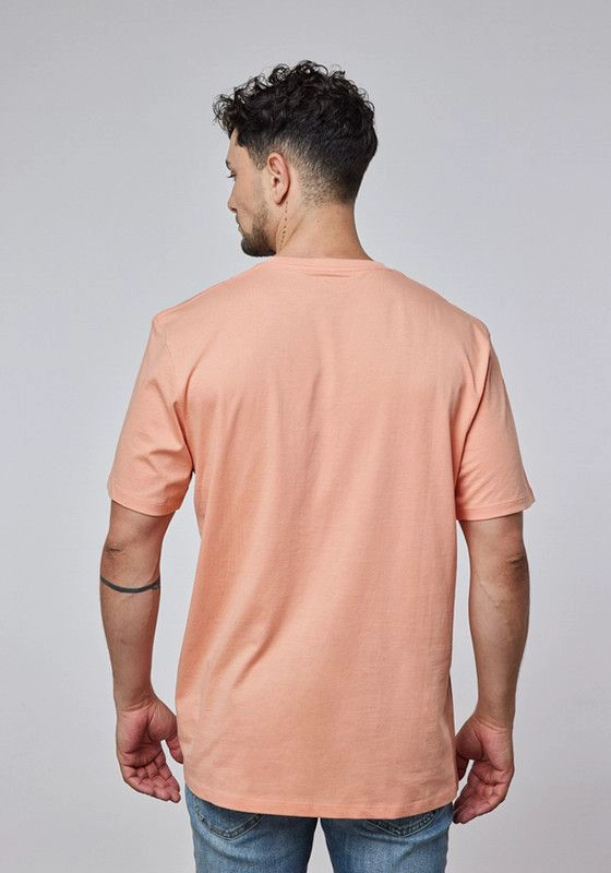 POLERA HOMBRE GRAPHIC TEE BRANDED MELON - 2