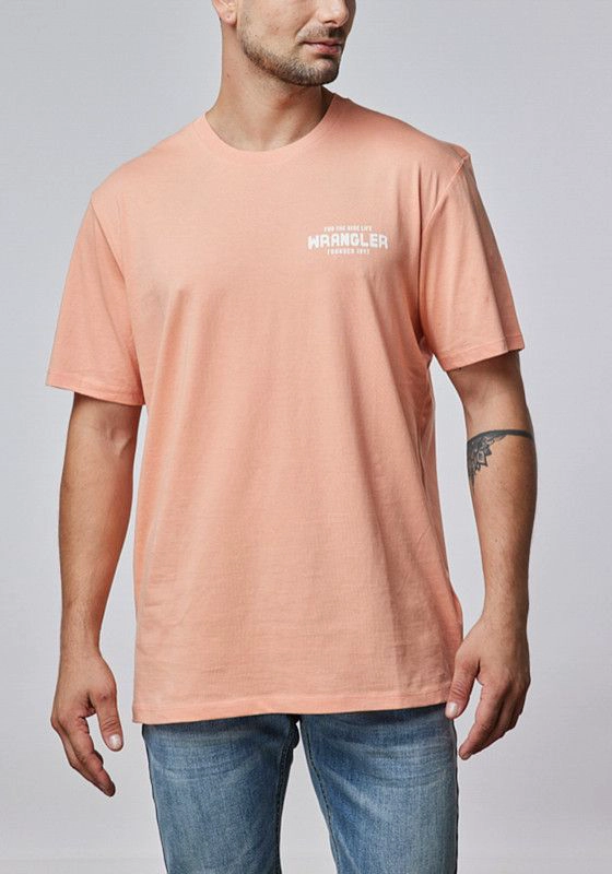 POLERA HOMBRE GRAPHIC TEE BRANDED MELON - 3