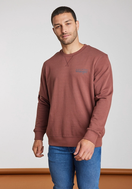 POLERON HOMBRE GRAPHIC SWEATSHIRT BROWN ROOT - 1