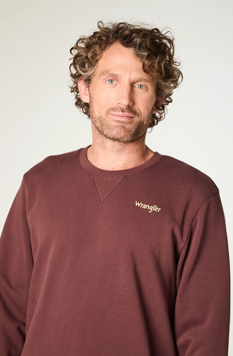 POLERON HOMBRE CREWNECK GRAPHIC REGULAR FIT CAFE - 3