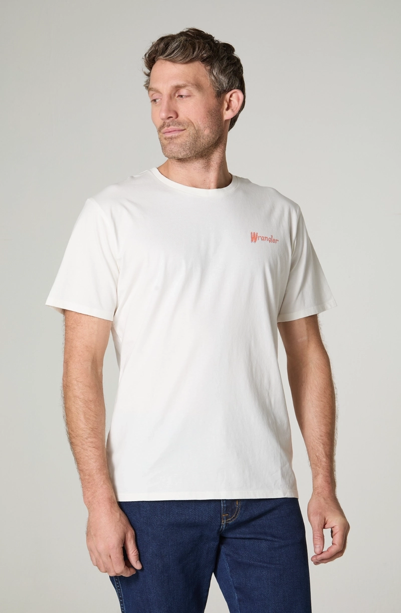 POLERA HOMBRE CUELLO REDONDO CON ESTAMPADO EN ESPALDA REGULAR FIT 100% COTTON - 2