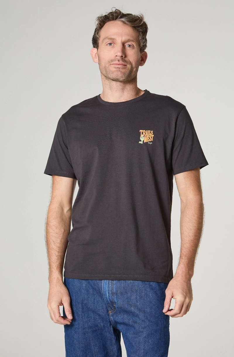 POLERA HOMBRE CUELLO REDONDO MANGA CORTA REGULAR FIT 100% COTTON - 2
