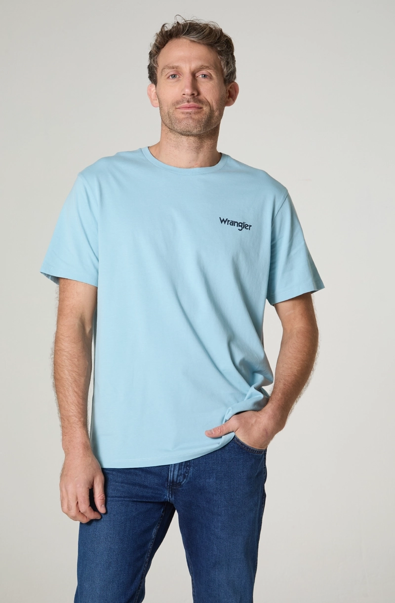 POLERA HOMBRE CUELLO REDONDO CON ESTAMPADO EN ESPALDA REGULAR FIT 100% COTTON - 2