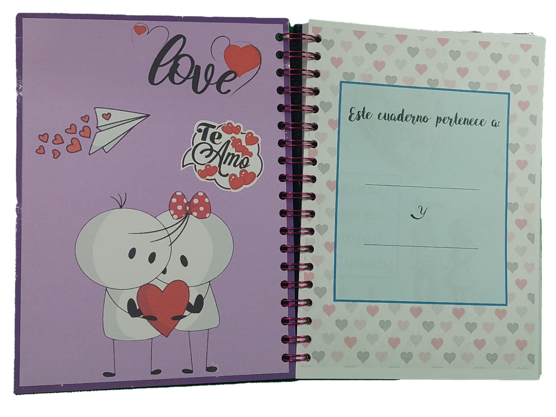 CUADERNO, BITÁCORA, DIARIO, AGENDA NUESTRAS 100 CITAS - 2