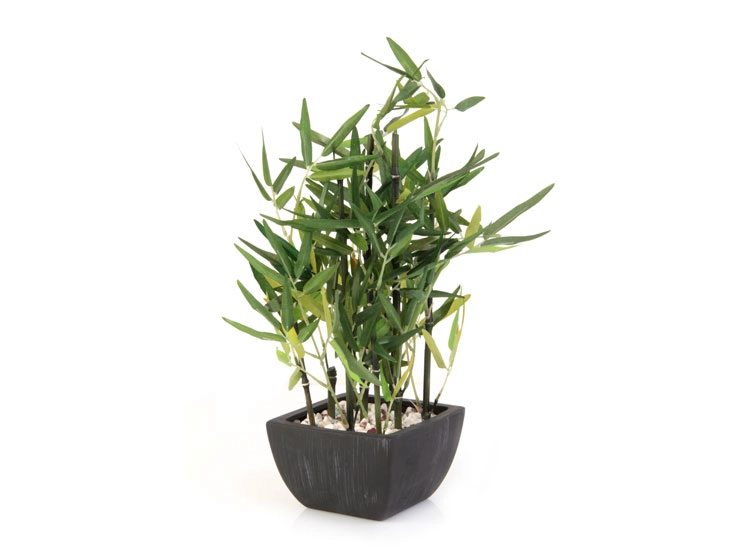 PLANTA DECORATIVA RIPLEY HOME BAMBÚ VERDE - 1