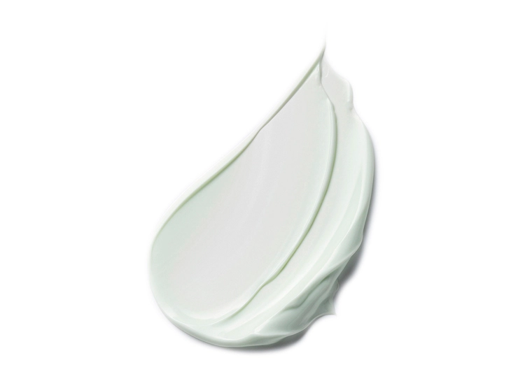 CREMA ESTÉE LAUDER ANTIEDAD HIDRATANTE DAYWEAR PIEL NORMAL / MIXTA SPF 15 50 ML - 2