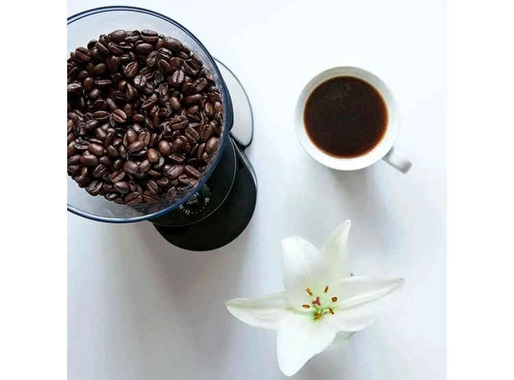 MOLINILLO DE CAFE OSTER BVSTBMH23 - 4