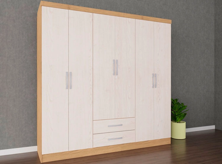 CLOSET YARDAS Y446 2C 6P - 6