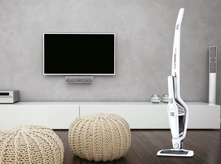 ASPIRADORA TRINEO ELECTROLUX ERGO 21 - 7