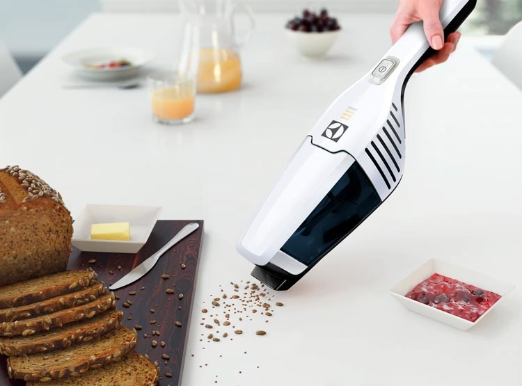 ASPIRADORA TRINEO ELECTROLUX ERGO 21 - 9