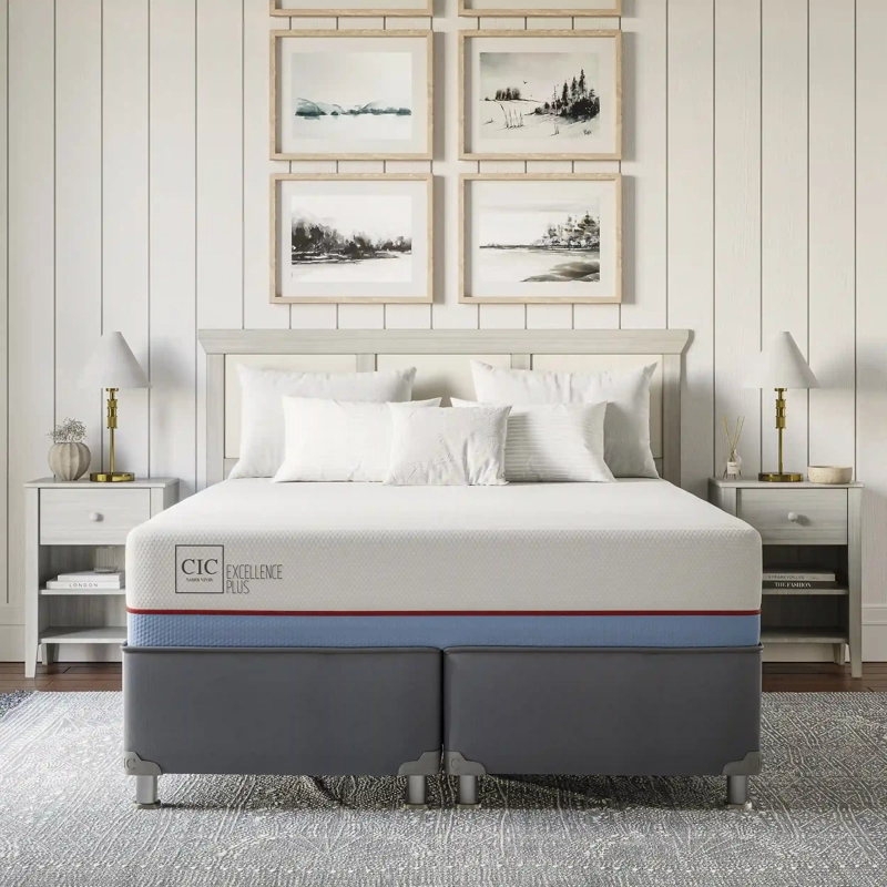 CAMA BOX AMERICANO CIC EXCELLENCE PLUS BD 2 PLAZAS - 10
