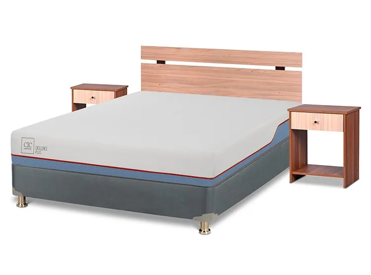 JUEGO DE DORMITORIO CIC CAMA BOX AMERICANO EXCELLENCE PLUS BN 2 PLAZAS + SET OLMO - 2