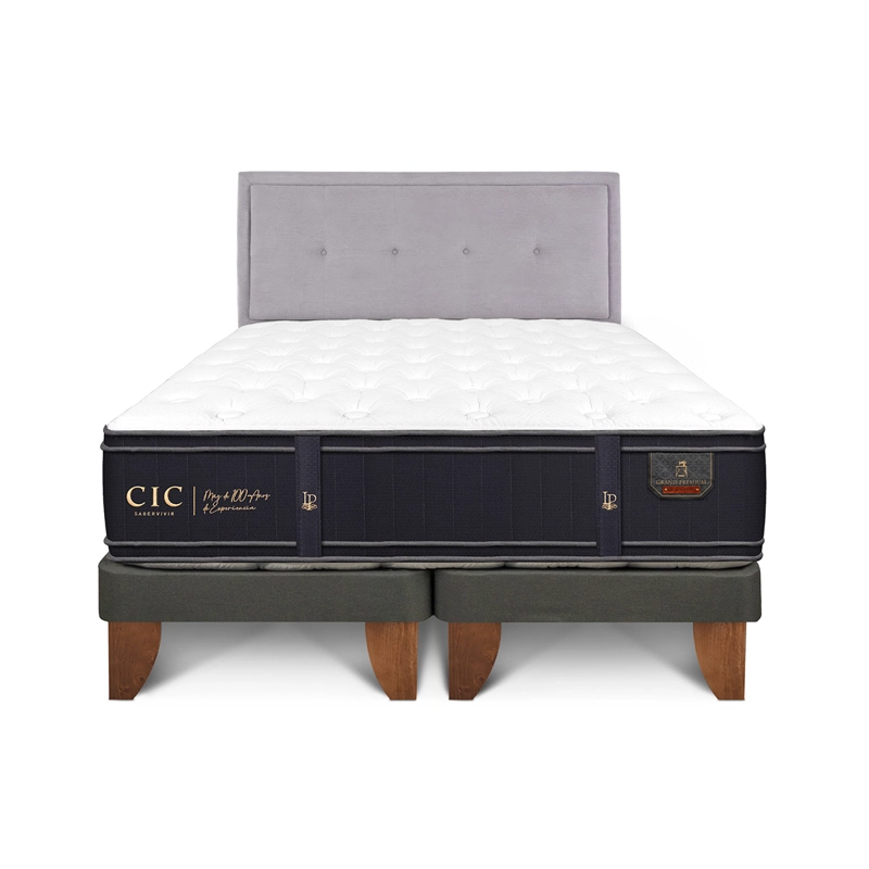 JUEGO DE DORMITORIO CIC CAMA EUROPEA GRAND PREMIUM BD 2 PLAZAS + RESPALDO GANGES