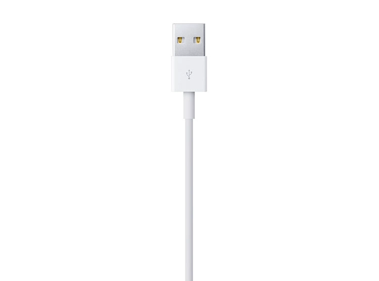 CABLE USB-LIGHTNING APPLE 1 MT - 3