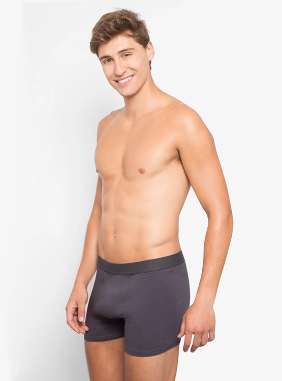 PACK X5 BÓXER HOMBRE PALMERS ALGODÓN  - 2