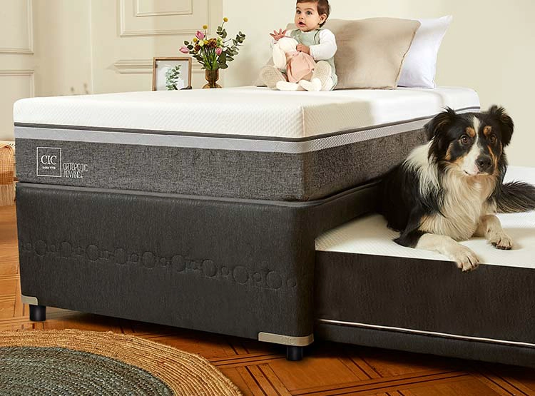 CAMA DIVAN CIC ORTOPEDIC ADVANCE BLACK 1.5 PLAZAS GRIS - 7