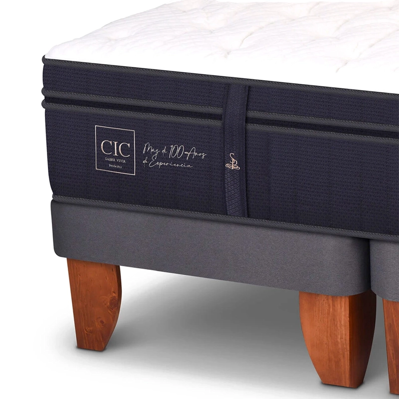 JUEGO DE DORMITORIO CIC CAMA EUROPEA SUPER PREMIUM BD 2 PLAZAS + SET ARES - 4
