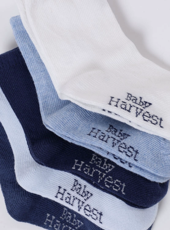 5 PACK CALCETINES UNISEX BABY HARVEST X5 COLOR - 3