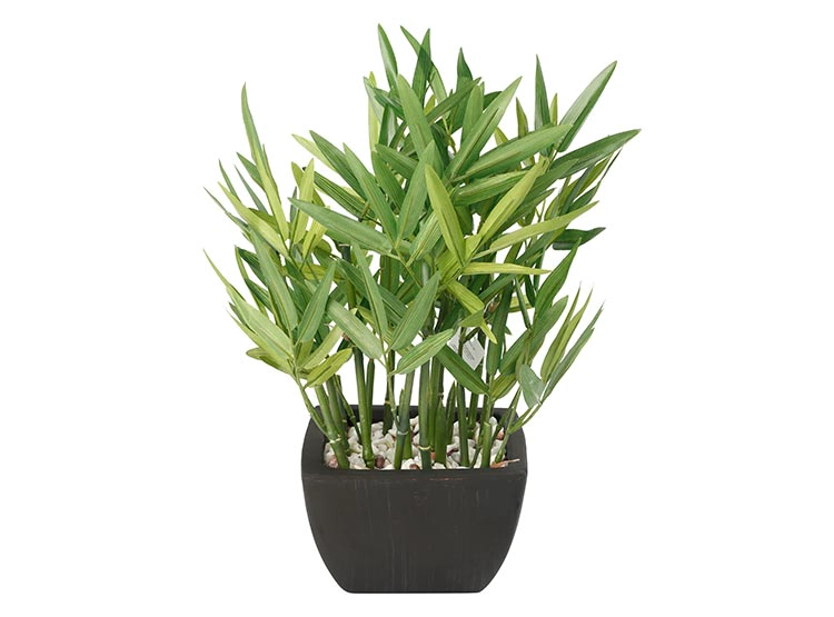PLANTA DECORATIVA RIPLEY HOME BAMBÚ VERDE MACETA NEGRA - 1