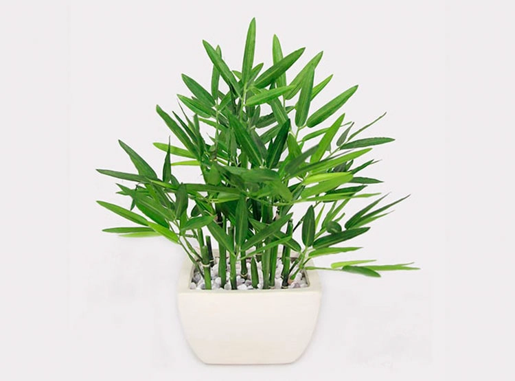 PLANTA DECORATIVA RIPLEY HOME BAMBÚ MACETA BLANCO