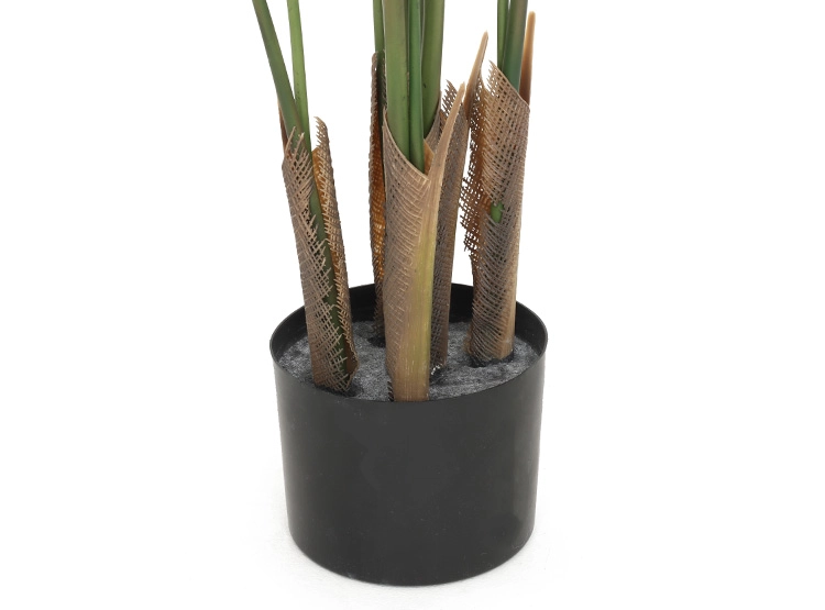PLANTA DECORATIVA RIPLEY HOME PALMERA VERDE 100 CM - 2