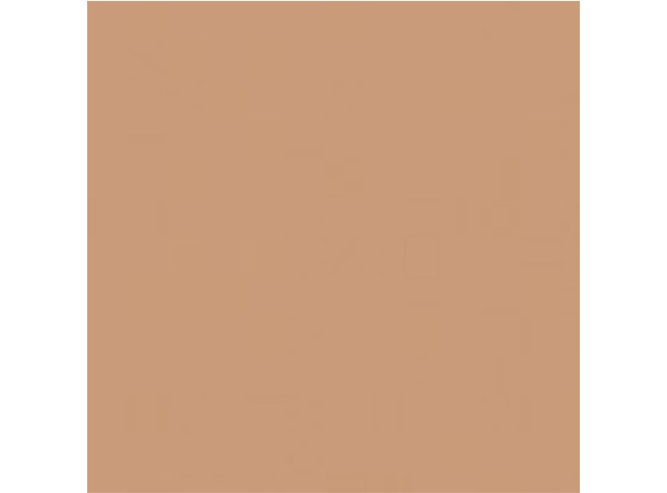 POLVOS DIOR FOREVER CUSHION POWDER 40 DEEP - 5