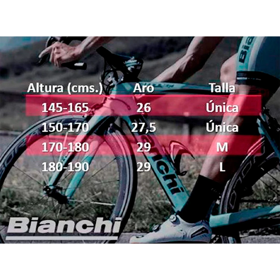 BICICLETA MTB BIANCHI MOUNTAIN ARO 27.5 - 6