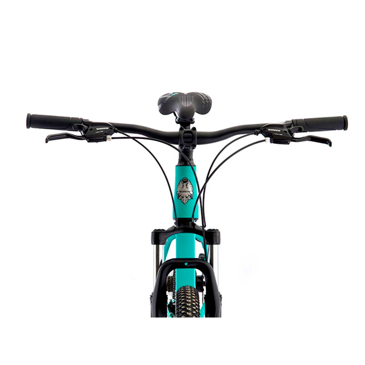 BICICLETA MTB BIANCHI STONE MOUNTAIN SX M 21V CELESTE ARO 29 - 3