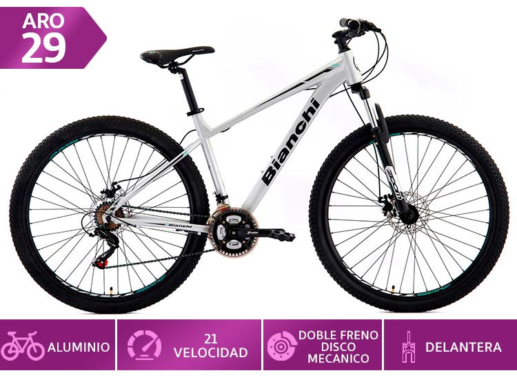 BICICLETA MTB BIANCHI STONE MOUNTAIN SX M 21V PLATA ARO 29 - 1