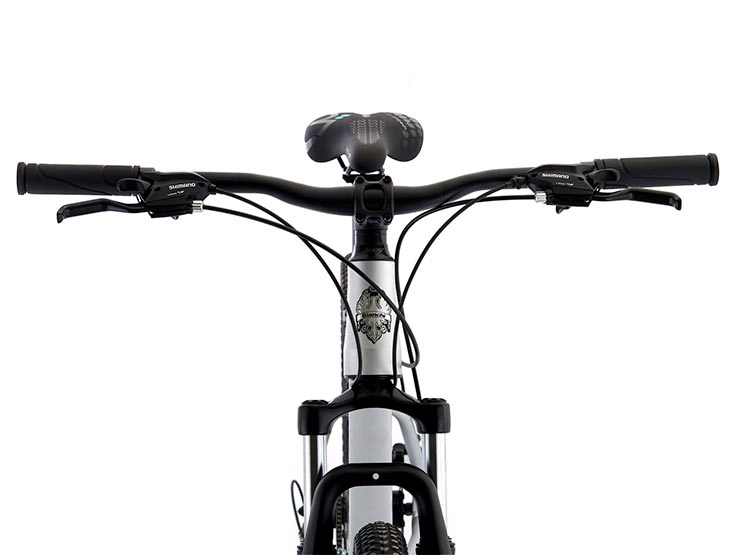 BICICLETA MTB BIANCHI STONE MOUNTAIN SX M 21V PLATA ARO 29 - 3