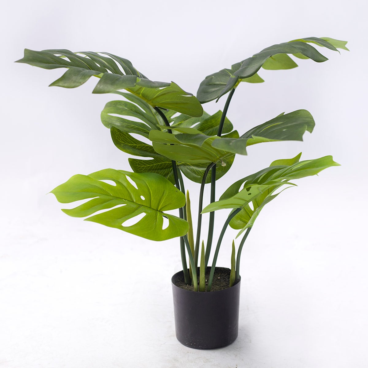 PLANTA DECORATIVA RIPLEY HOME TROPICAL CON MACETA - 1