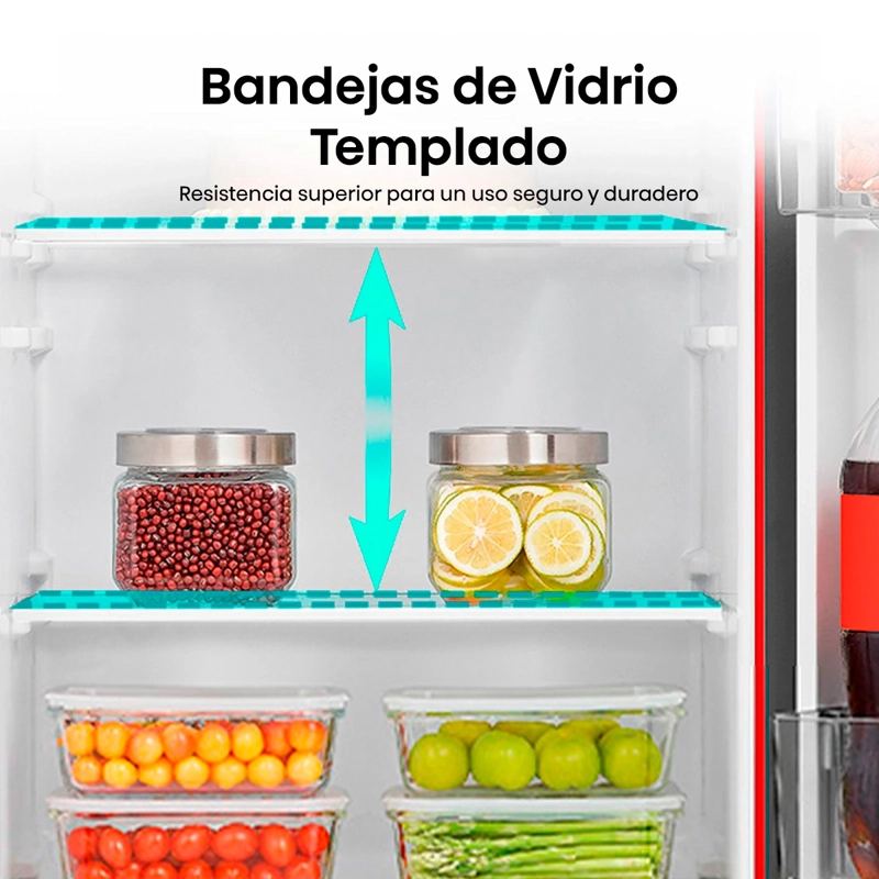 REFRIGERADOR BOTTOM FREEZER HISENSE RD-22DC 165L FRIO DIRECTO ACERO - 9