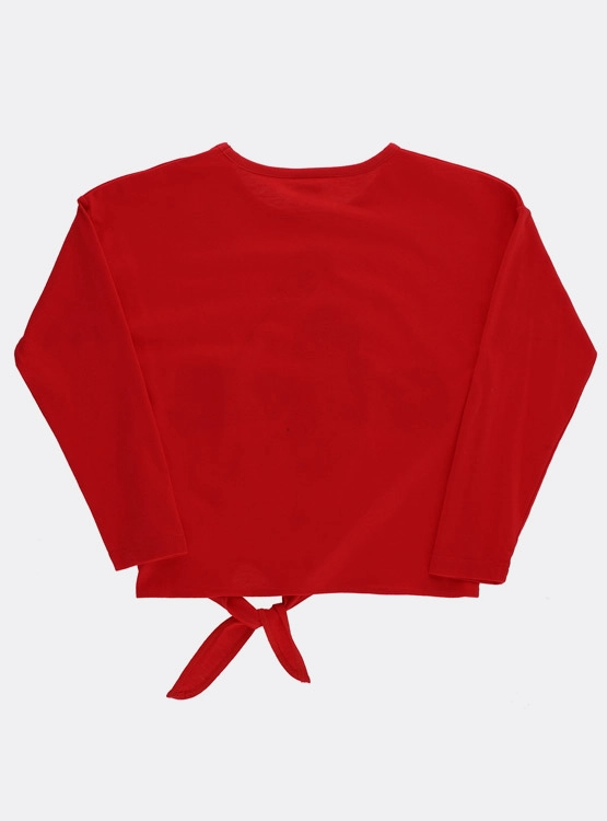 POLERA MANGA LARGA LADY BUG - 2
