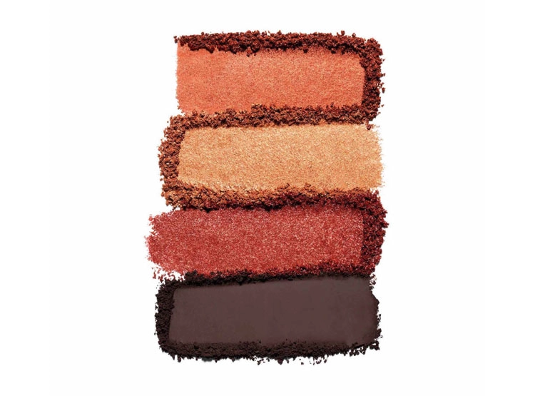 SOMBRA DE OJOS ESTÉE LAUDER PURE COLOR ENVY LUXE EYESHADOW QUAD WILD EARTH 6 GR - 3