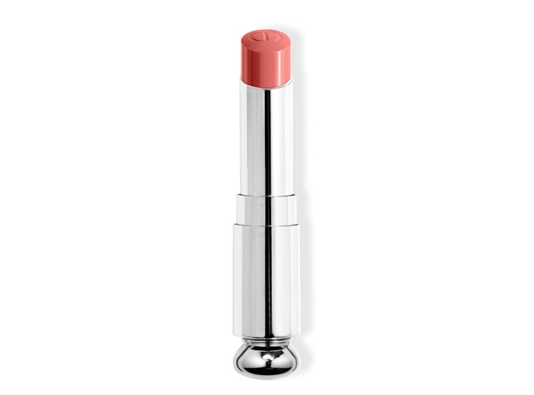LABIAL DIOR RECARGA ADDICT 100 3.2 GR - 1