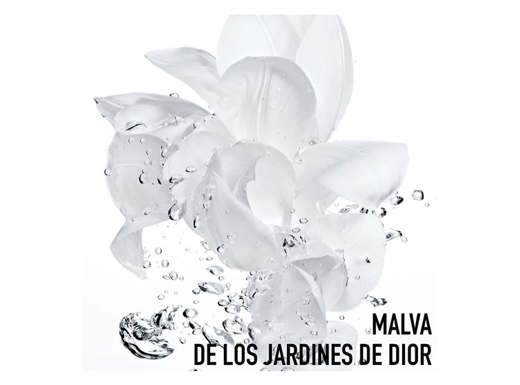 CREMA FACIAL DIOR HIDRATANTE HYDRA LIFE CRÈME SORBET FRAÎCHEUR 50 ML - 5