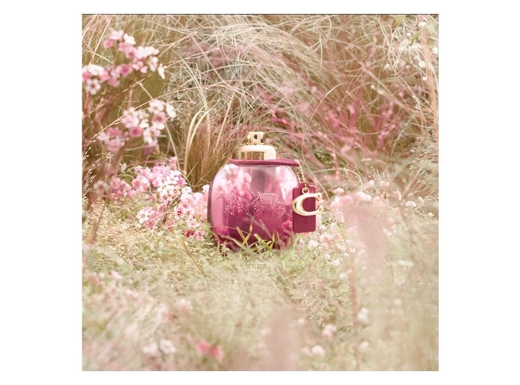 PERFUME COACH WILD ROSE MUJER EDP 90 ML - 7
