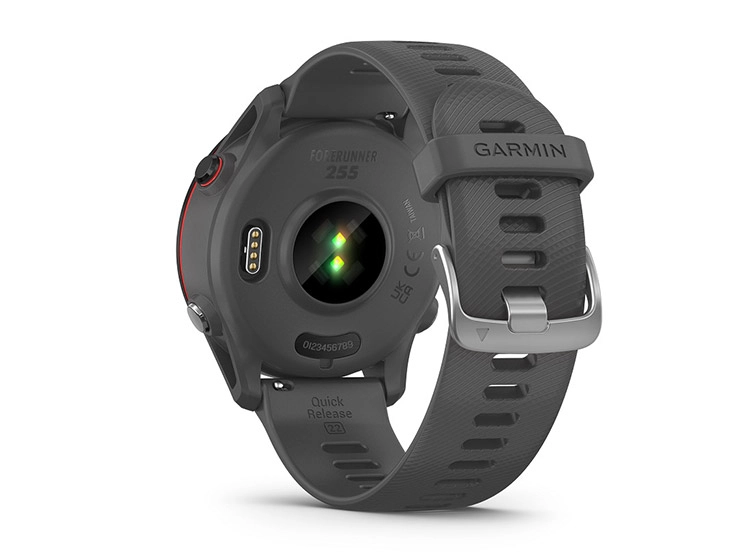 Garmin Forerunner 255 Gris, foto 4