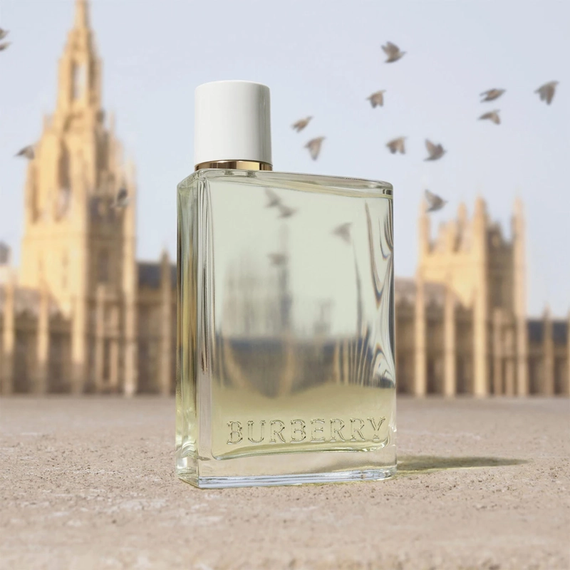 PERFUME MUJER BURBERRY HER EAU DE TOILETTE 100ML - 4