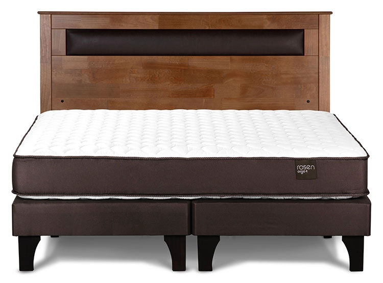 JUEGO DE DORMITORIO ROSEN CAMA EUROPEA ERGO T BD 2 PLAZAS + RESPALDO FERRARA - 1