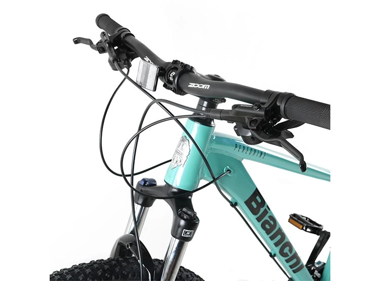 BICICLETA MTB BIANCHI PEREGRINE ARO 29 CELESTE Celeste, foto 2