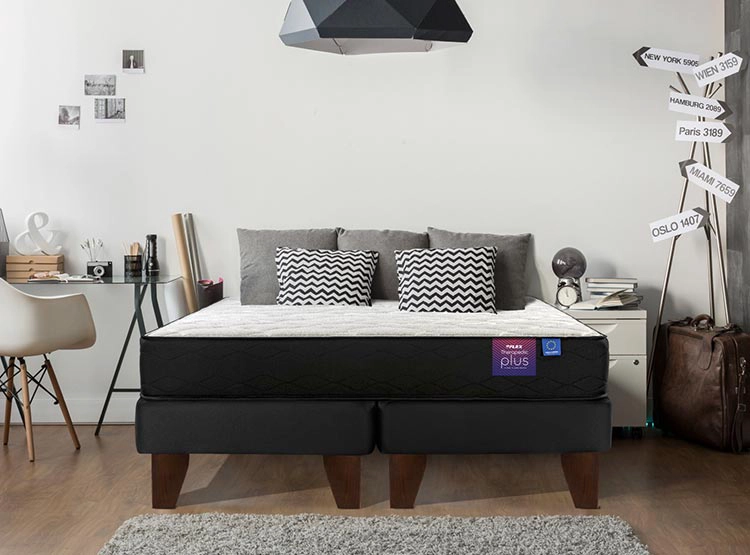 COLCHÓN FLEX THERAPEDIC PLUS BOX 1.5 PLAZAS - 6